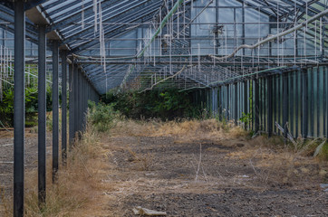 grosse verlassene gaertnerei