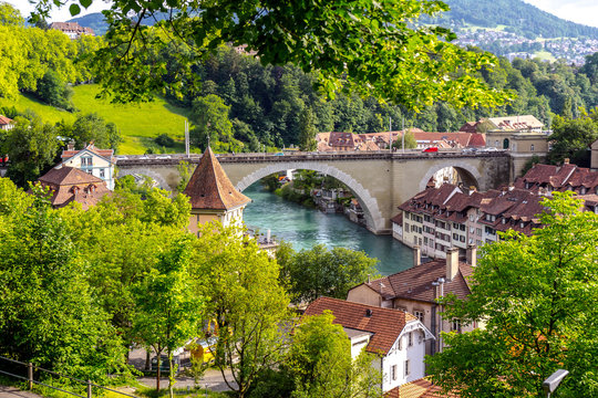 Nidegg 16 Adobe Stock nidegg-16-adobe-stock
