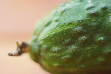 green cucumber. macro 