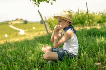 Young boy with shorts sitting on the grass plays the harmonica and enjoying a beautiful summer day in the park Handsome kid relaxing outdoor playing a musical instrument with straw hat and bandana