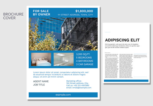 Real Estate Property Flyer Layout with Blue Accents