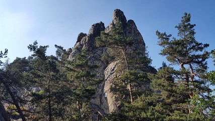 Fototapeta na wymiar Teufelsmauer bei Timmenrode (Harz)