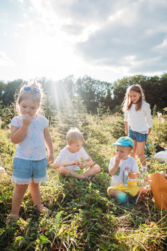 Group of four kids relaxing at summer meadow