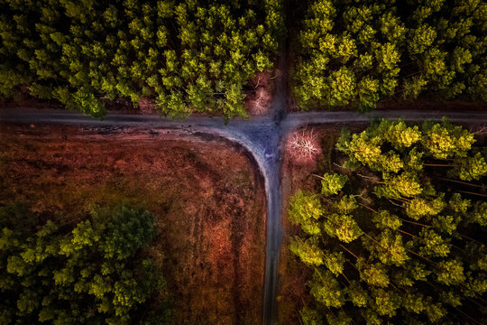 Bunte Waldlandschaft von oben