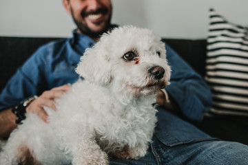 Handsome young man playing with his cute little white dog at home. Relaxed on the sofa. Lifestyle. Pet photography.