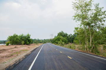 Fototapeta premium Country road running through tree alley.