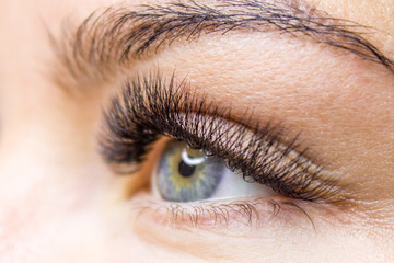 Obraz premium Beautiful Woman with long lashes in a beauty salon. Eyelash extension.