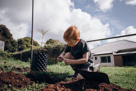 A child digs up a worm while planting trees