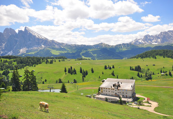 Fototapeta na wymiar Wooden house in italian Alps on summer
