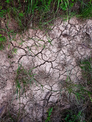 Cracked ground, path, soil with dry grass. Ecology concept. Cracked earth texture background with grasses. Dry field, water, land, sand. Land during drought. Abstract surface, material, wallpaper.