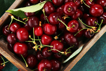 Cherry. Red fresh bunch of cherries on the table