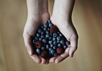 Berries in hands © Patrycja