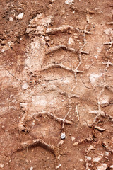 Tractor, excavator, car, automotive tire tracks on muddy trail. Mud and wheel trace on road after rain. Mud with truck wheel track in rainy day. Background, texture, pattern, material, wallpaper.