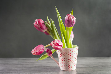 bukiet tulipanów w kubku © iwona666