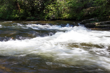 Stormy mountain river in the forest on a summer sunny day