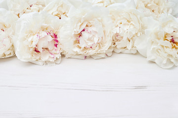 White peonies border on white wooden background. Copy space, top view. Holiday background