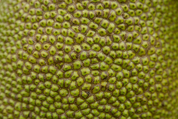 close up shell jackfruit texture background