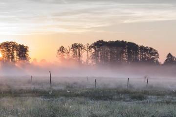Misty meadow at sunrise