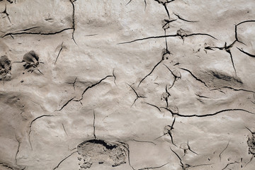 The surface of the wet cracked earth