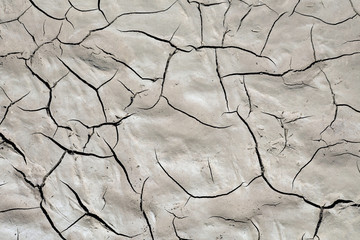 The surface of the wet cracked earth. crack, texture, background