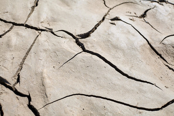 The surface of the wet cracked earth. crack, texture, background.
