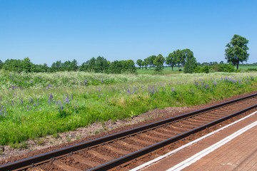 Fototapeta premium green meadow, forest and railway under blue sky