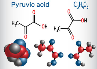 Pyruvic acid (pyruvate) molecule. It is the simplest of the alpha-keto acids. Structural chemical formula and molecule model