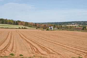 Ground furrowed and ready in the fall for next spring's planting