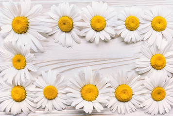 Obraz premium Frame. Chamomile flowers on white wooden background. Copy space, top view.