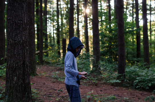 A Boy Hikes to Pick Up Sticks