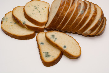 Bread with a mold isolated on white background. Parasite.