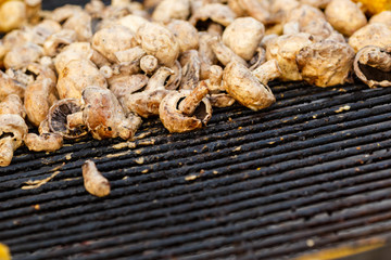 Champignon white mushrooms grilled on grill or BBQ with seasoning and corn
