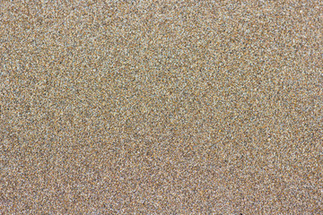 Sandy beach background. Detailed sand texture, top view