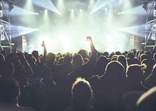 Cheering crowd at music festival