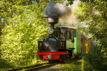 A retro narrow gauge train runs through a green park in Ventspils, Latvia