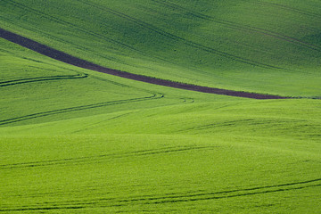 Green waves hils landscape suitable for backgrounds or wallpapers, natural seasonal landscape. Southern Moravia, Czech republic
