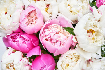 Bouquet of pink and white peony. Flowers background. Top view