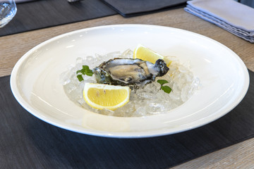 seafood, food, shrimp, uncooked, raw, sea, healthy, shellfish, prawn, table, mediterranean, lemon, cuisine, crustacean, fish, marine, mollusk