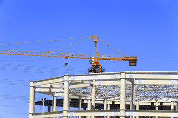 The crane is working at the construction site