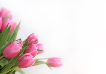 Bouquet of pink tulips on a light background. Holiday card.