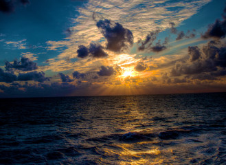 Ecological Diversity