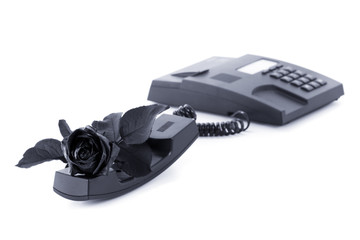Sad message of melancholy, sadness and sorrow. Black rose and phone on white background isolated.