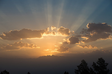 Beautiful sunrise over a vista of trees with fog and golden rays