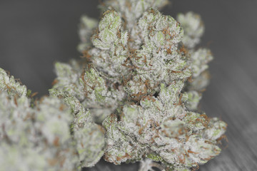 Marco close up shot of marijuana flower buds