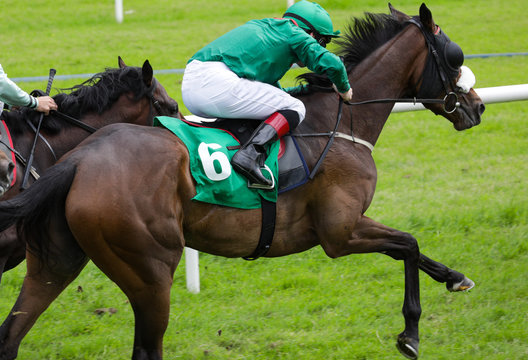 close up on sprinting race horse and jockey