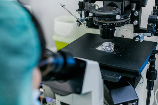 Biologist Working in a Professional Laboratory