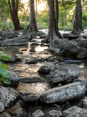 Obraz premium OLYMPUS DIGITAL CAMERA