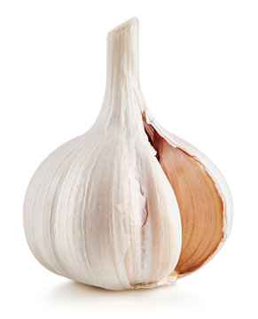 Garlic Isolated on white