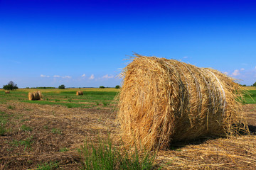 Hay bale in the countryside