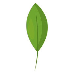 green leaf natural foliage image vector illustration